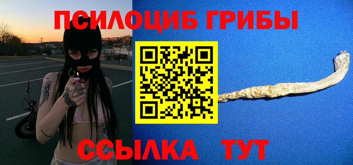 Псилоцибиновые грибы мицелий  Вход с VPN  Галлюциногенные грибы ЛСД  Нижнеудинск 